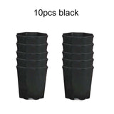 Carvallo Octa | 10-pack åttkantiga blomkrukor | Svart & Vit | Andningsbar | För suckulenter & sticklingar | Ø 8 cm Carvallo