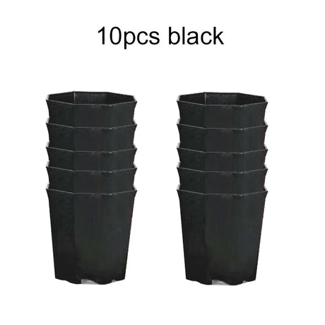 Carvallo Octa | 10-pack åttkantiga blomkrukor | Svart & Vit | Andningsbar | För suckulenter & sticklingar | Ø 8 cm Carvallo