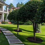 Ogräsväv Baumscheibe – Andningsbar rotskyddsmatta för trädgård och växter Carvallo