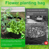 Carvallo FlextoGrow | Högbädd av filt med 4/8 fack | Bärbar & andningsbar | För grönsaker, örter & blommor Carvallo