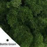 Carvallo Konstgjord mossa Dekogräs | 20 g / 40 g / 100 g | För DIY, miniatyrträdgårdar & hemtillbehör | Eviggrön & underhållsfri Carvallo