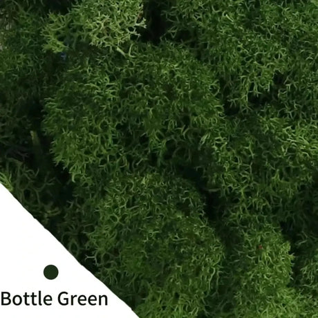 Carvallo Konstgjord mossa Dekogräs | 20 g / 40 g / 100 g | För DIY, miniatyrträdgårdar & hemtillbehör | Eviggrön & underhållsfri Carvallo