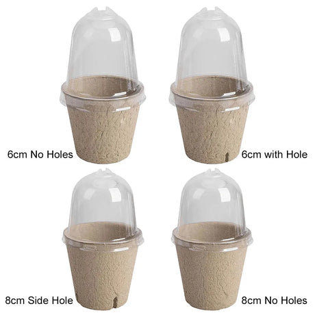 Carvallo Biologiskt nedbrytbara såjordkrukor 10-pack | Med växthuslock | För grönsaker, örter & blommor | Hållbar groddhjälp Carvallo