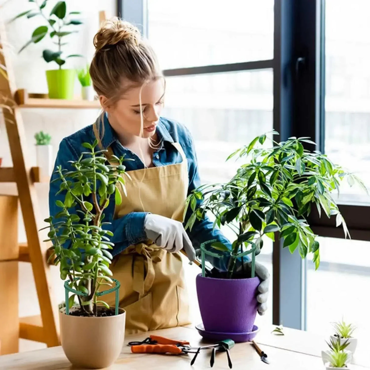 Carvallo växtstativ | Stabilt & Återanvändbart | För blommor & växthus Carvallo