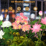 Carvallo Solar Trädgårdslampor Kameliablomningar | 15 LED Utomhus Dekorationsljus | Vattentålig & Solenergibaserad | Stämningsbelysning för Trädgård & Terrass Carvallo