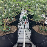 Carvallo växtdroppare med 3-bens stativ | Precis bevattningssystem för inomhus- & trädgårdsväxter | Vattensparande & Stabil Carvallo