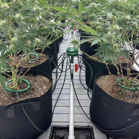 Carvallo växtdroppare med 3-bens stativ | Precis bevattningssystem för inomhus- & trädgårdsväxter | Vattensparande & Stabil Carvallo