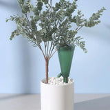 Carvallo Automatisk bevattningstråle | Trattformad & Transparent | Med justerbar vattenflöde – 1 styck Carvallo