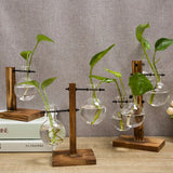 Carvallo Design Glasvase med träram | För snittblommor & hydroponik | Skandinavisk stil | 3-delat set Carvallo