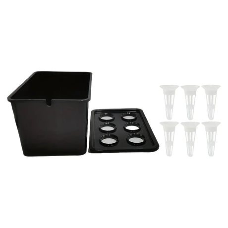 Carvallo Indoor-Grow-Set Hydroponiskt växtsystem för inomhusbruk | Självvattnande mini-växthus | 12×18×10,5 cm | För örter & sticklingar Carvallo