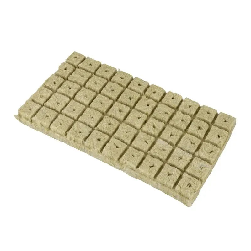 Carvallo GrowCube | För hydroponik & sådd | Luftgenomsläpplig & vattenabsorberande | 50-pack om 2,5×2,5×2,5 cm Carvallo