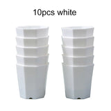 Carvallo Octa | 10-pack åttkantiga blomkrukor | Svart & Vit | Andningsbar | För suckulenter & sticklingar | Ø 8 cm Carvallo
