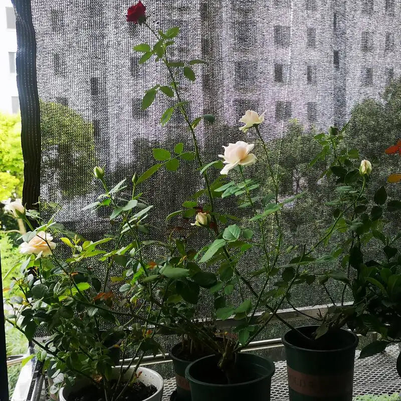 Carvallo Pro | Skuggnät 70–80 % | UV-skydd & insynsskydd | För trädgård & växthus Carvallo