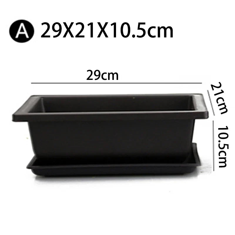 Carvallo Plantekrukke | Antikk-utseende & Bruddsikker | Med Underlag | 29x21x10,5 cm Carvallo