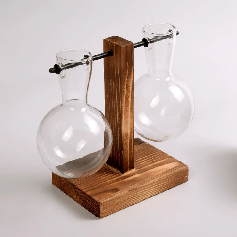 Carvallo Design Glasvase med träram | För snittblommor & hydroponik | Skandinavisk stil | 3-delat set Carvallo