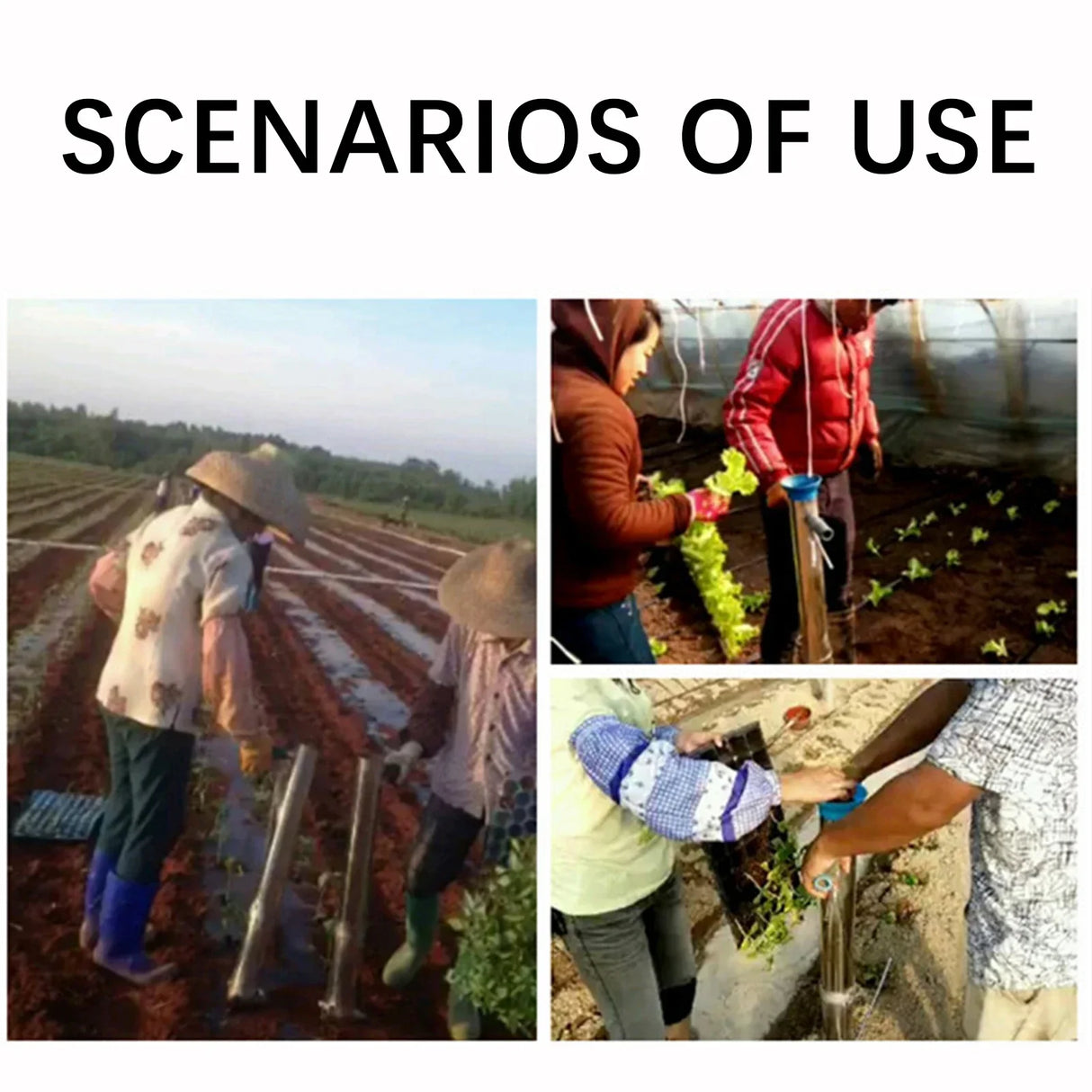 Carvallo PlantPro Manuell Grönsaksplantör | Ergonomiskt Omplanteringsverktyg | Rostfritt stål | 92 cm Längd Carvallo