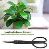 Carvallo 21 | Bonsai-sax med långt handtag | 21 cm | Precision klippning för växter & grenar Carvallo