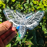 Carvallo fönsterdekal solfångare | Självhäftande med 3D-regnbågseffekt | För fönster, väggar & dekoration Carvallo