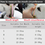 BellStop+ | Ventilerad hundekorg | Justerbar nylonkorg | Anti-bark och anti-bite skydd | S-XL storlekar Carvallo