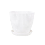 Carvallo Blomkruka | Robust design | Andas & Stötresistent | Enfärgad Carvallo