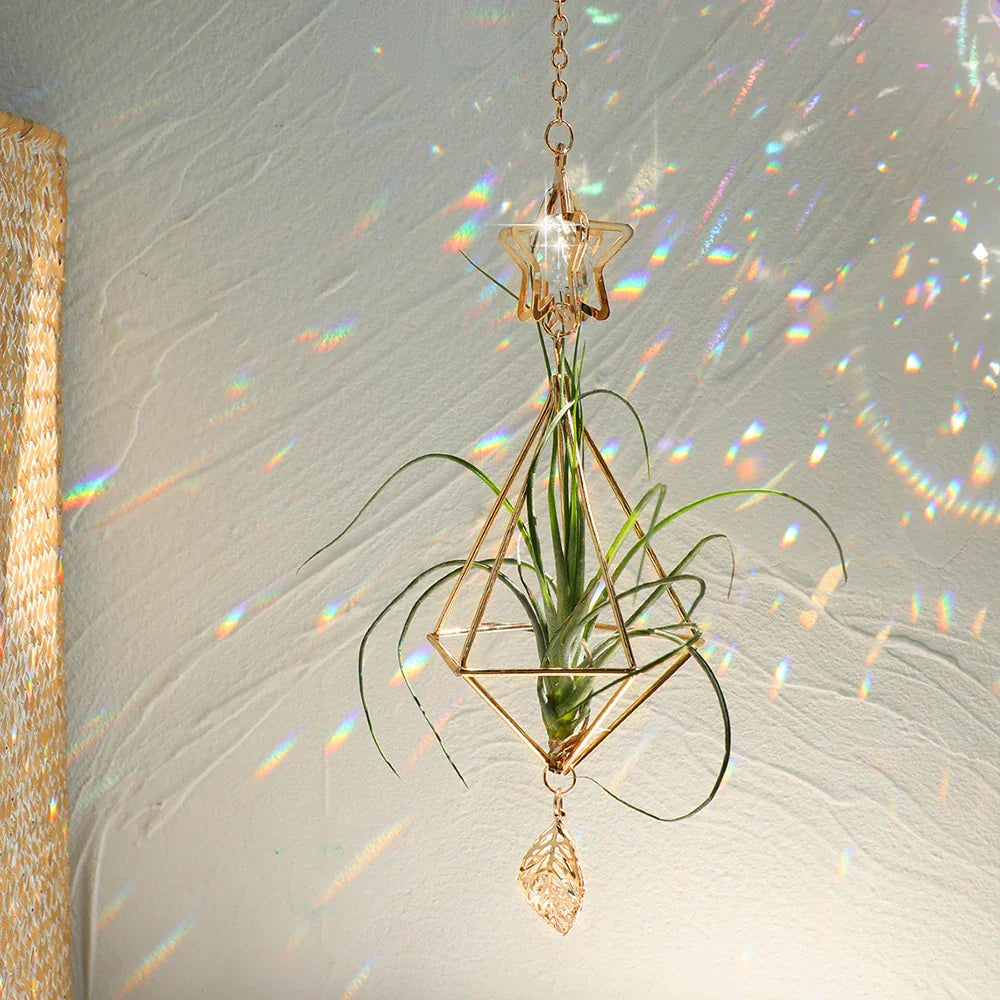 Carvallo Geometrisk Växtställ | Guld Hängande Airplant Hållare | Dekorativ Suncatcher med Kristall för Hem & Trädgård Carvallo