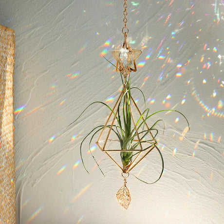 Carvallo Geometrisk Växtställ | Guld Hängande Airplant Hållare | Dekorativ Suncatcher med Kristall för Hem & Trädgård Carvallo