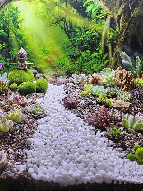 Carvallo Dekosteine Vit Mini | Dekorativ sten för Vaser, Bonsai & Sukkulenter | För Inomhus & Utomhus | Natursten Carvallo