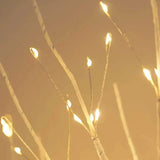 Atmosfärisk Upplyst Träd - För en Mysig och Varm Atmosfär Carvallo