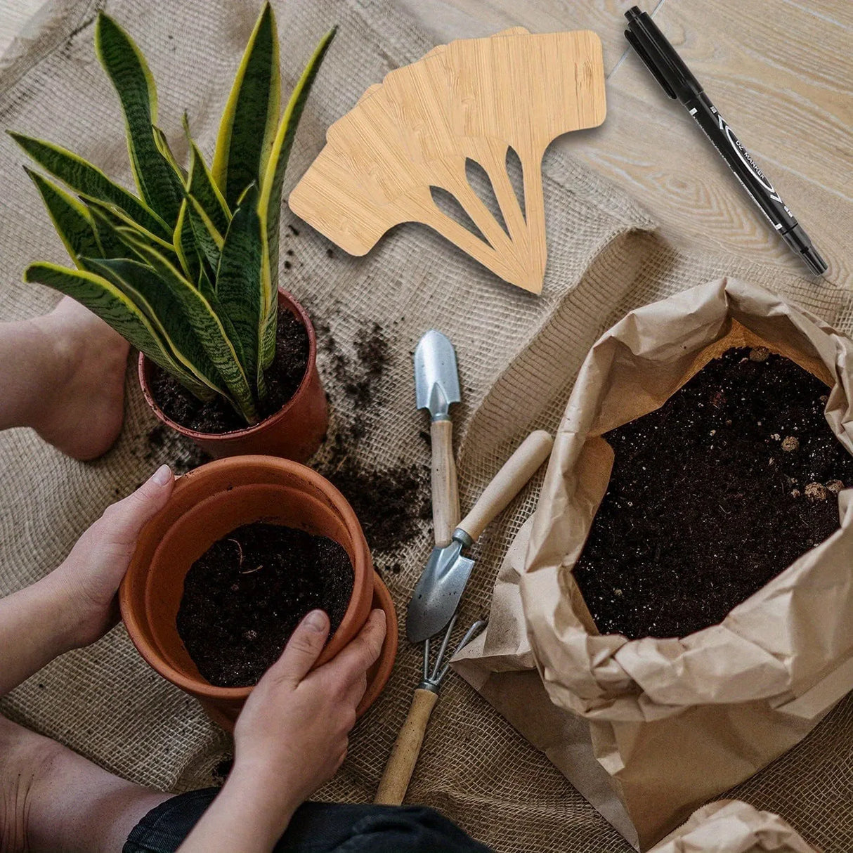 Carvallo NaturLine växtskyltar av bambu 50 st. | T-formad trädgårdspik | Ombart och väderbeständig | För örter, grönsaker och blommor Carvallo