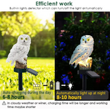 Solar Owl Garden Lights – 2-Pack Carvallo