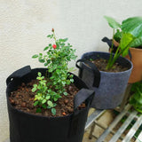 Carvallo Planteringstask 30×25 cm med handtag | 5 gallon | Andningsbar & Återanvändbar | För grönsaker, örter & balkongväxter Carvallo