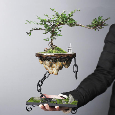 Planter Flytande Bonsai Hängande Display Skål Carvallo