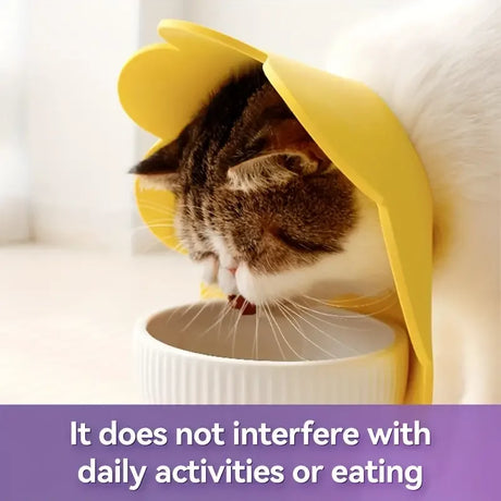 Carvallo skyddskrage för hundar & katter | Mjuk filtmaterial | Anti-lekande & klösande | Dubbel användning Carvallo