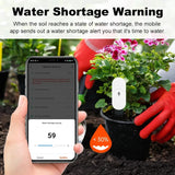 Carvallo Markfuktighetsensor GrowGuard | Zigbee 3.0 | App- & röststyrning | För växtvård & trädgårdövervakning Carvallo