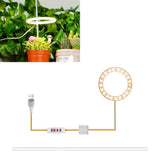 Carvallo Luminara Ring | LED-växtbelysning med timerfunktion | 1–4 huvuden | USB-driven & 5-stegs dimbar Carvallo