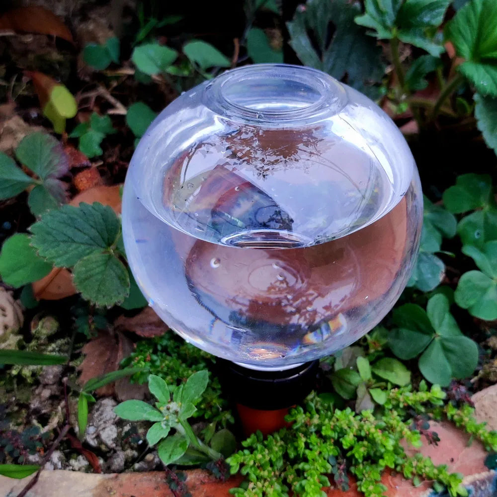 Carvallo SmartDrip | Automatisk växtbevattnare | 300 ml | För inomhus- och balkongväxter Carvallo