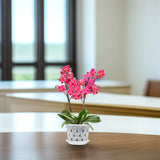 Carvallo Blomkrukor Klara | 5-pack | Med dräneringshål | Transparenta & Stabil – Florvista Carvallo