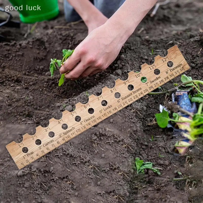 Carvallo NaturLinjal Växtlinjal av trä | 33×4,9 cm | Såddavstånd-hjälp med cm/tum-skala | För precis trädgårdsarbete & jämn sådd Carvallo