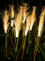 Carvallo - Elegant havlampa inspirerad av naturen Carvallo