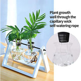 Carvallo Planter pot set Plantiva NetCup 25er set | Grid basket for hydroponics & aeroponics | Reusable & stable Carvallo