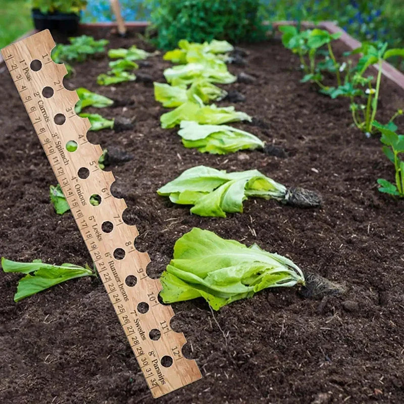 Carvallo NaturLinjal Växtlinjal av trä | 33×4,9 cm | Såddavstånd-hjälp med cm/tum-skala | För precis trädgårdsarbete & jämn sådd Carvallo