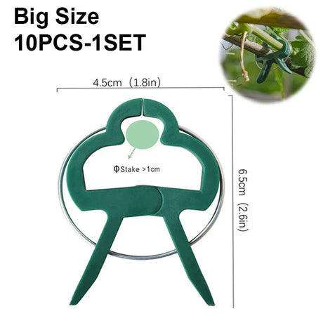 Carvallo växtklipp | Återanvändbara hållare | För tomater, grönsaker & klätterväxter | Stabil & väderbeständig Carvallo