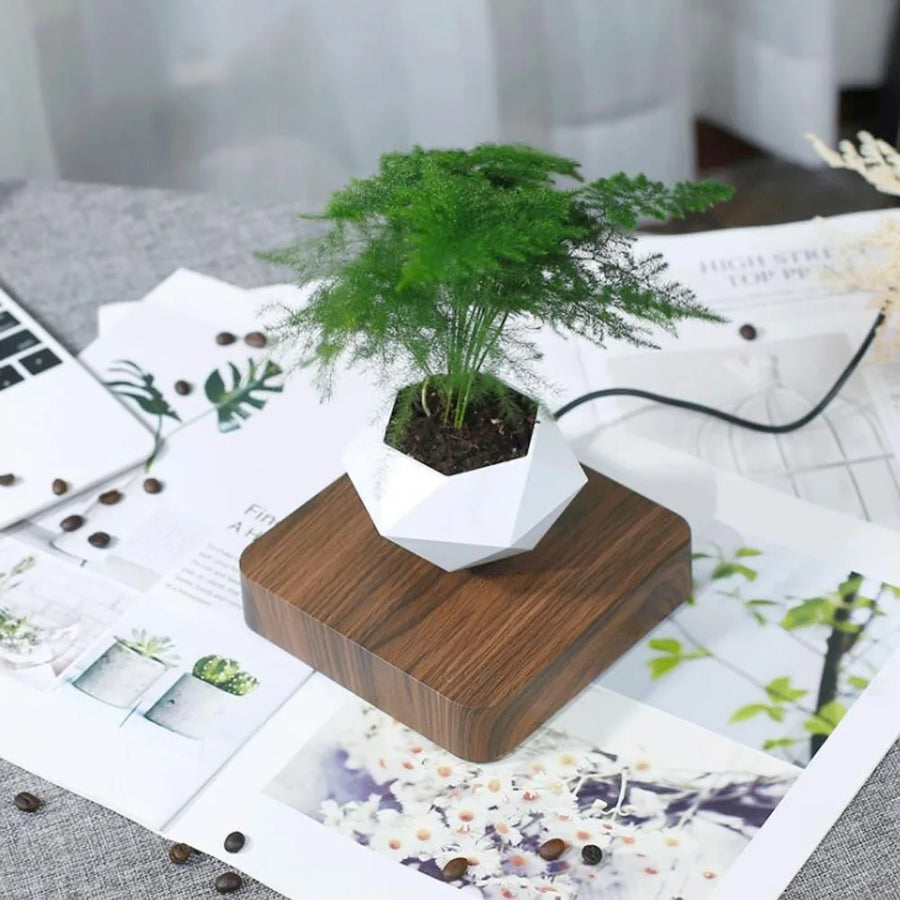 OrbitGrow - Magnetisk Svävande Bonsai Kruka För Heminredning Carvallo