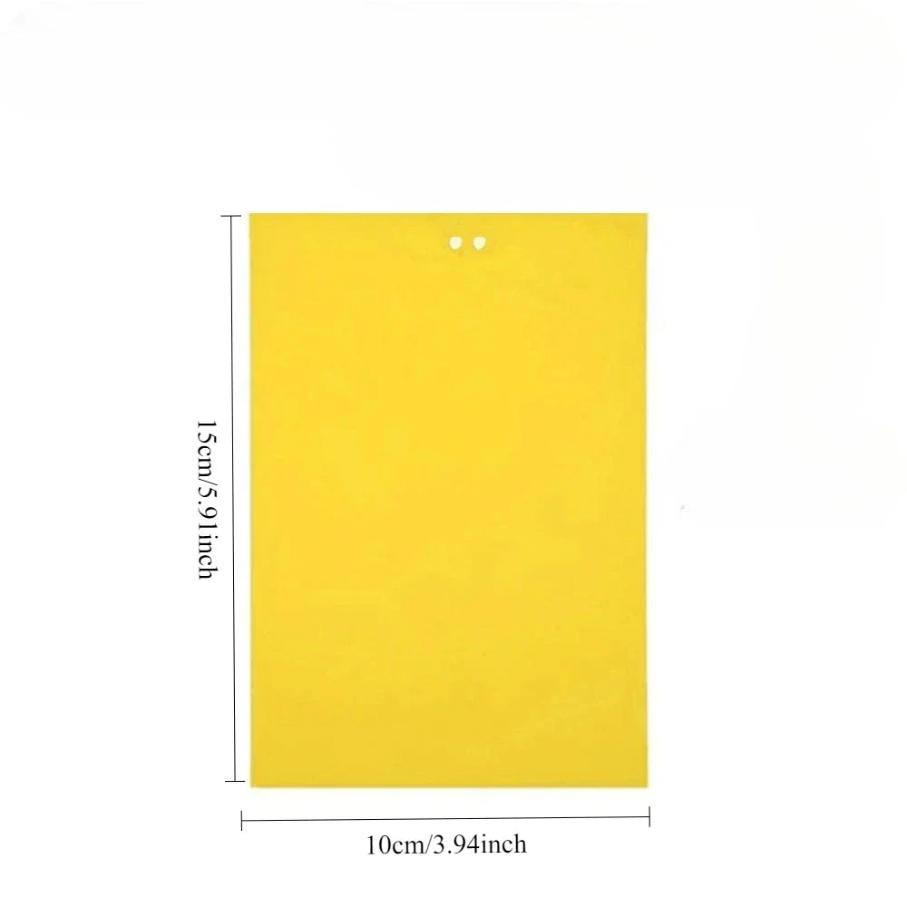 Carvallo Fruktflugefälla Gul | 20 stycken Dubbelsidiga | Giftfria & Miljövänliga | Klisterfällor för Insekter Carvallo