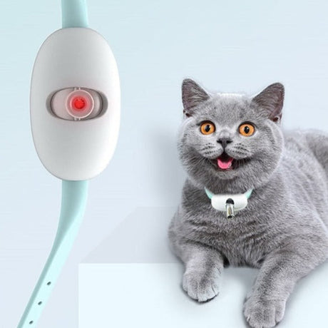 Laser Tease Kattkrage bellasverige