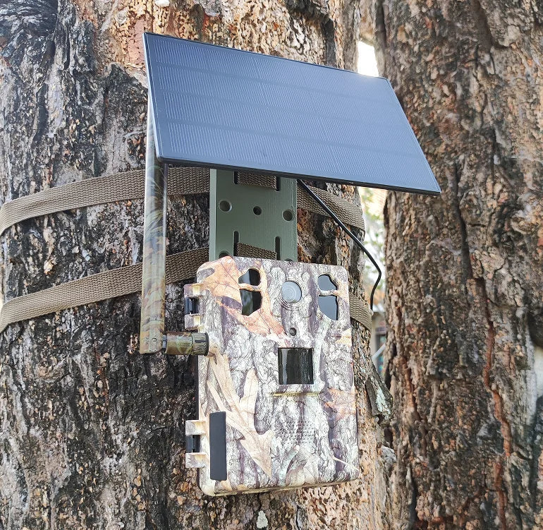 Carvallo – Soldriven 4G Wildlife-kamera med livestreaming och rörelsedetektion Carvallo