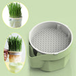 Carvallo Keimschale | Cat Grass Plant Cup | Made of food-safe PP | For wheatgrass, beans & more | Without soil Carvallo