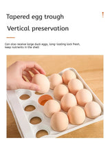 Carvallo Ägghållare Klarvitt | 32 Ägg Kapacitet | Platsbesparande Lådsystem | Damm- & Fuktsskydd Carvallo