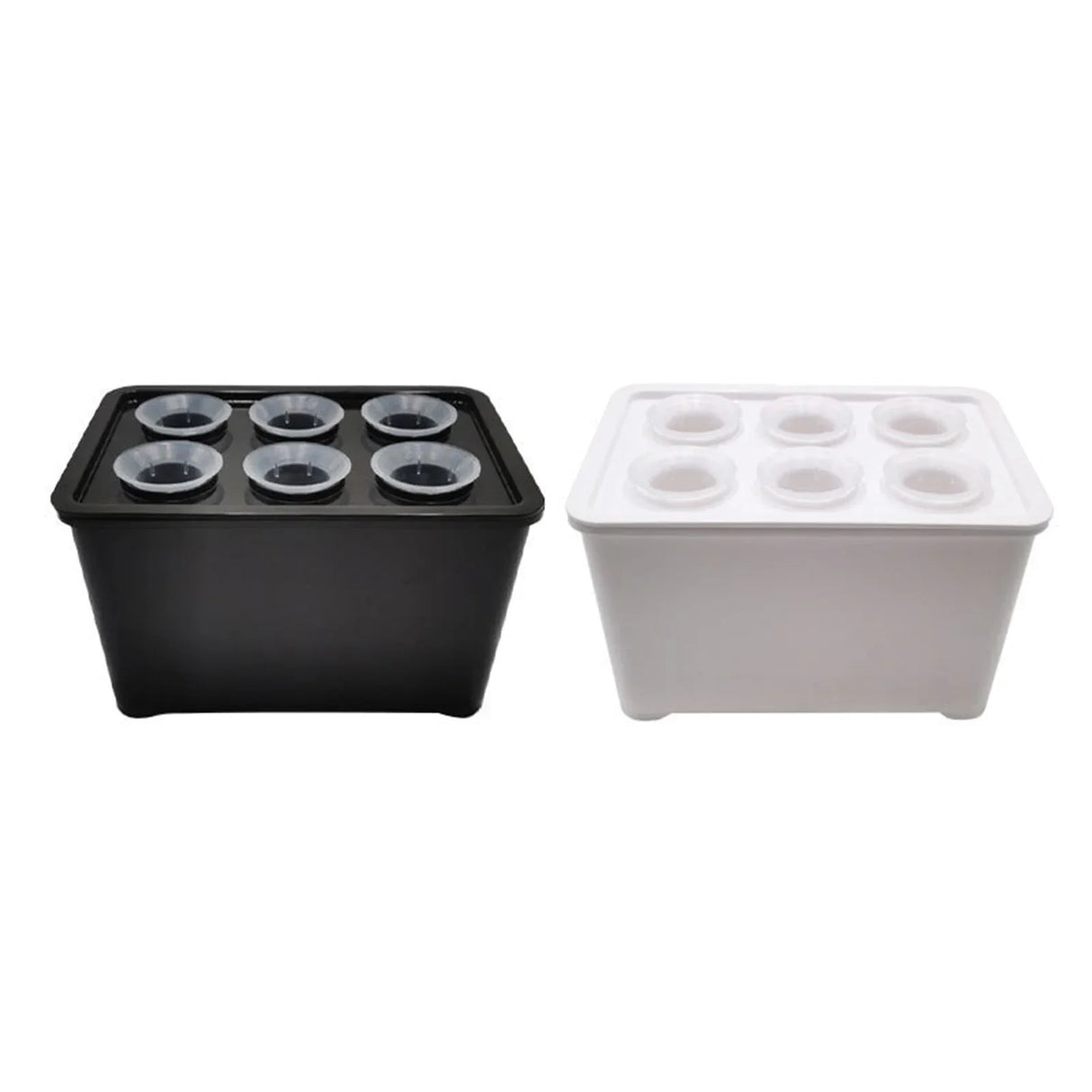 Carvallo Indoor-Grow-Set Hydroponiskt växtsystem för inomhusbruk | Självvattnande mini-växthus | 12×18×10,5 cm | För örter & sticklingar Carvallo