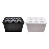 Carvallo Indoor-Grow-Set Hydroponiskt växtsystem för inomhusbruk | Självvattnande mini-växthus | 12×18×10,5 cm | För örter & sticklingar Carvallo